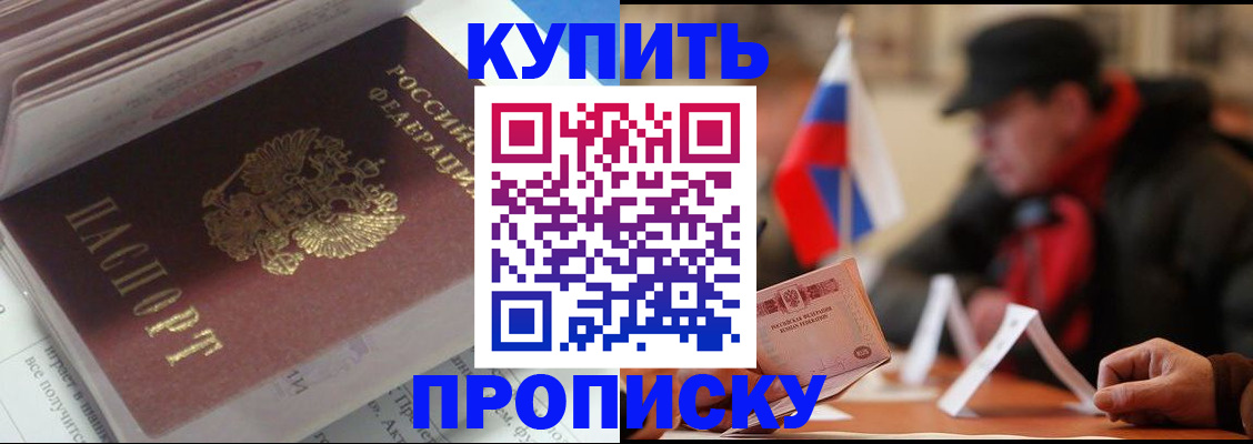 прописка гарантия в Дмитрове